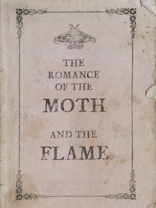 The Romance of the Moth and the Flame
