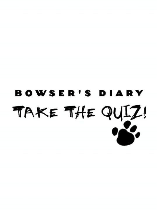 Bowser's Diary: Take the Quiz!