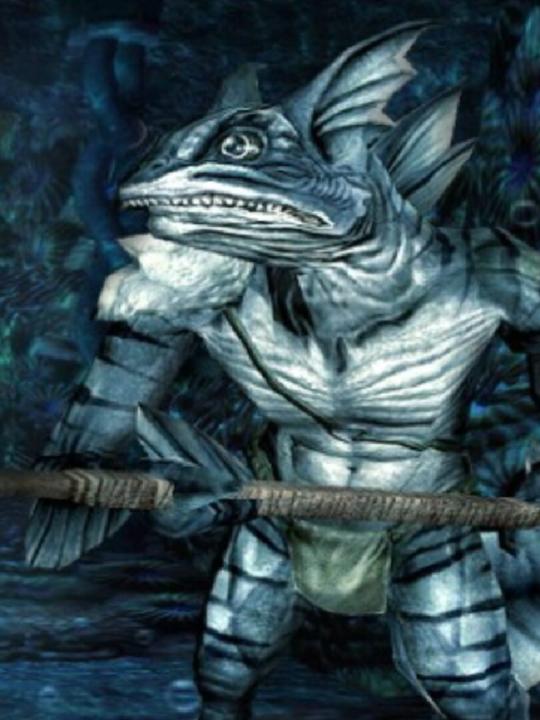 Dungeons & Dragons Online: The Red Fens