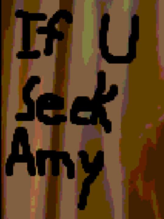 If U Seek Amy